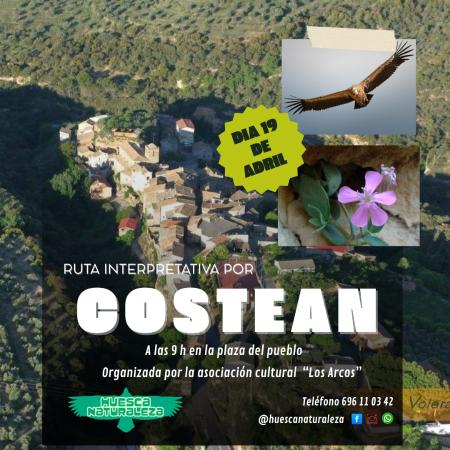 Imagen Costean. paseo por Ruta Interpretativa
