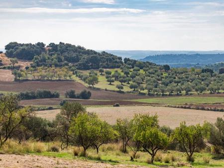 Imagen Nuevo plan de dinamización en la Comarca SABOREA GUARA SOMONTANO