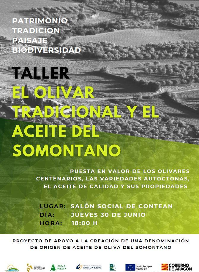 Imagen COSTEAN. JUEVES 30. Taller sobre el olivar tradicional y el aceite del Somontano